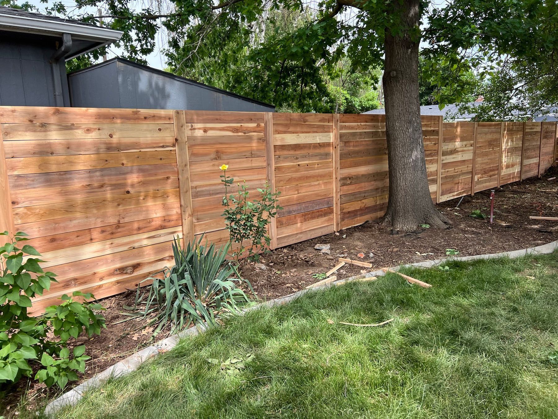 Wooden privacy fence in a backyard, with a tree in the center and green grass in the foreground.