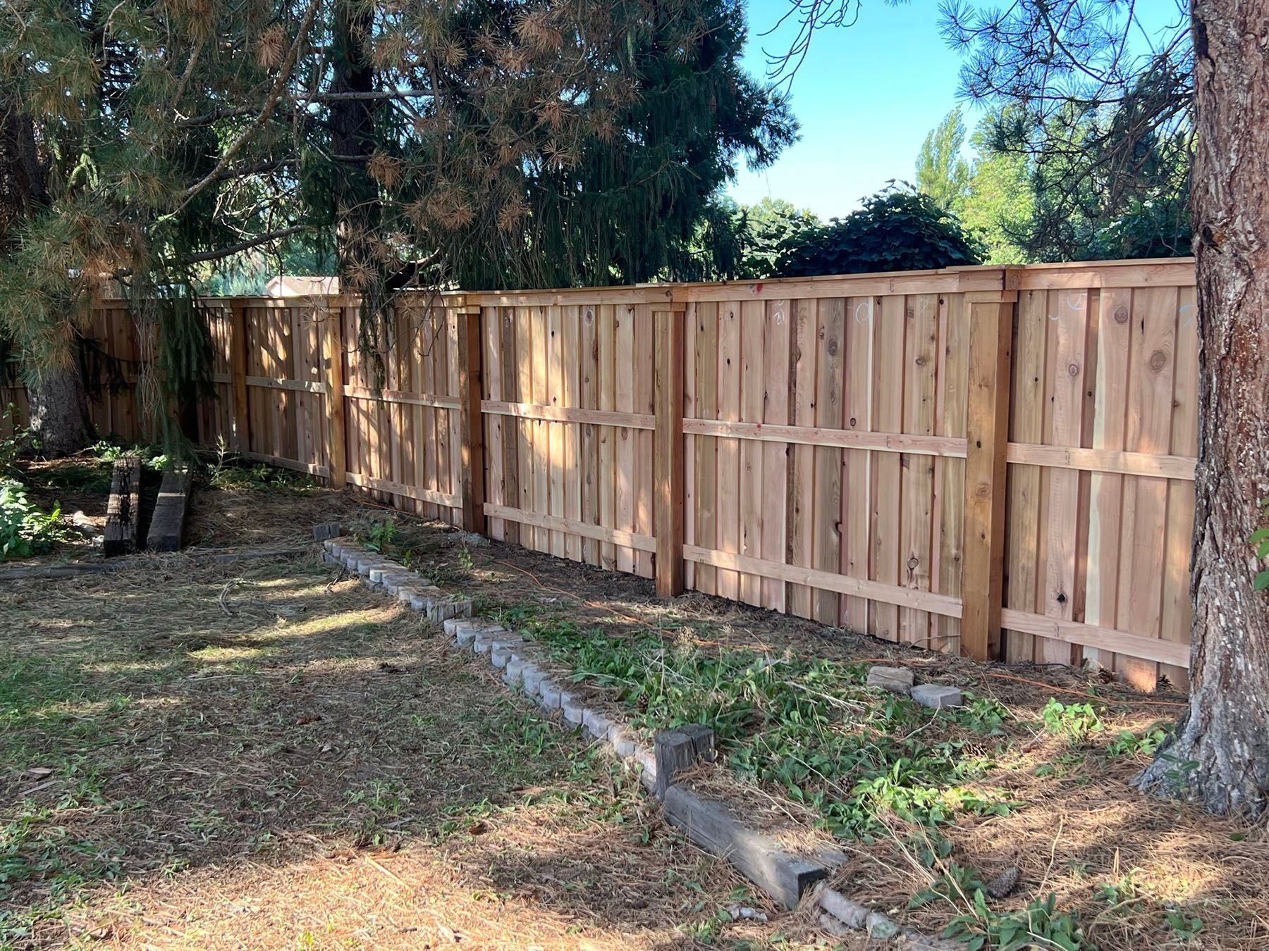 Wooden fence in a backyard setting, surrounded by trees and overgrown grass, under a blue sky.
