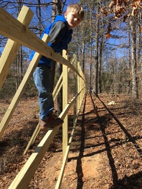 Boy standing on a wooden fence, looking toward the camera. Forest background, sunny day.
