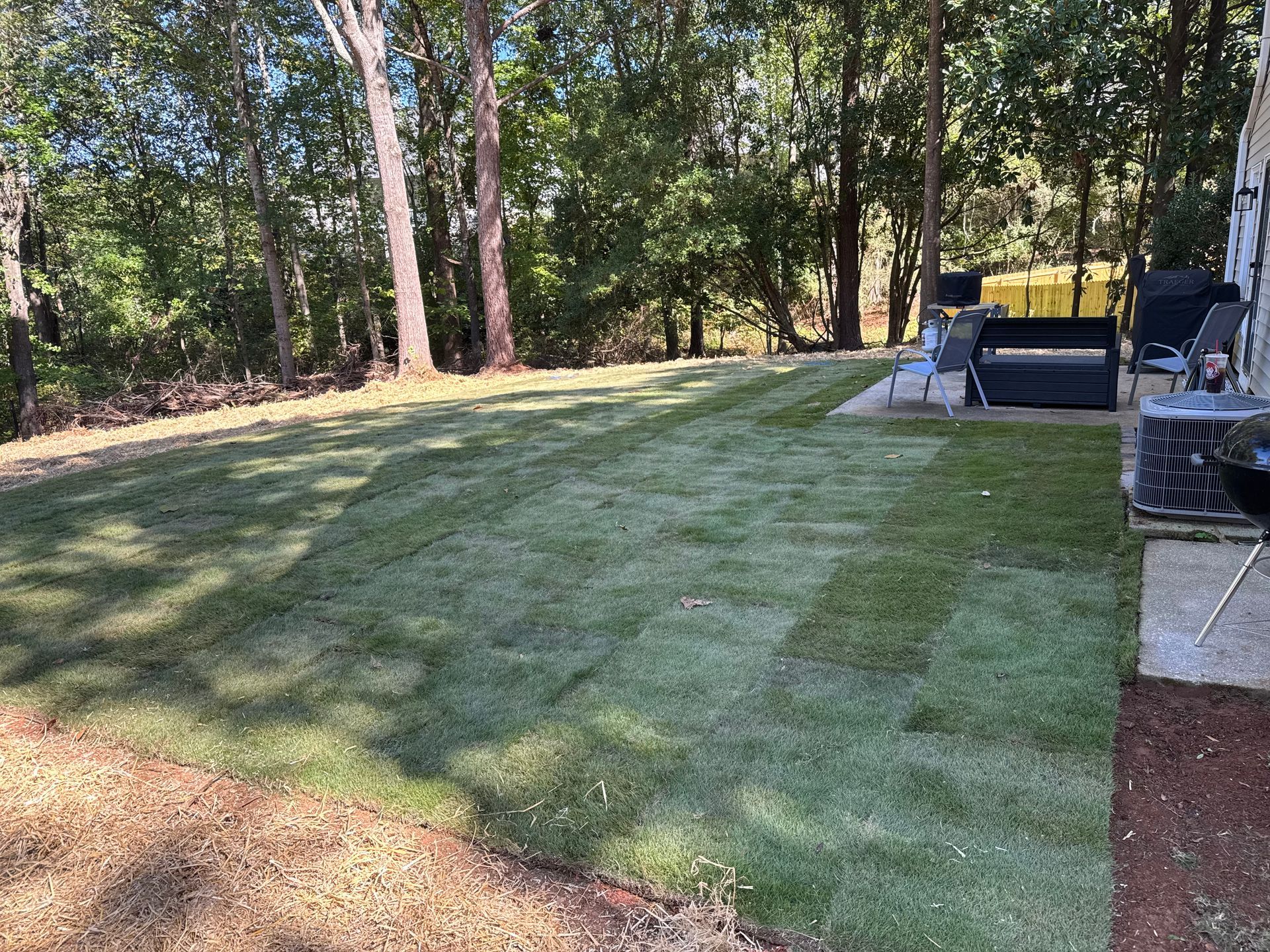 Green lawn with mowed sections and trees in the background next to a patio and house.