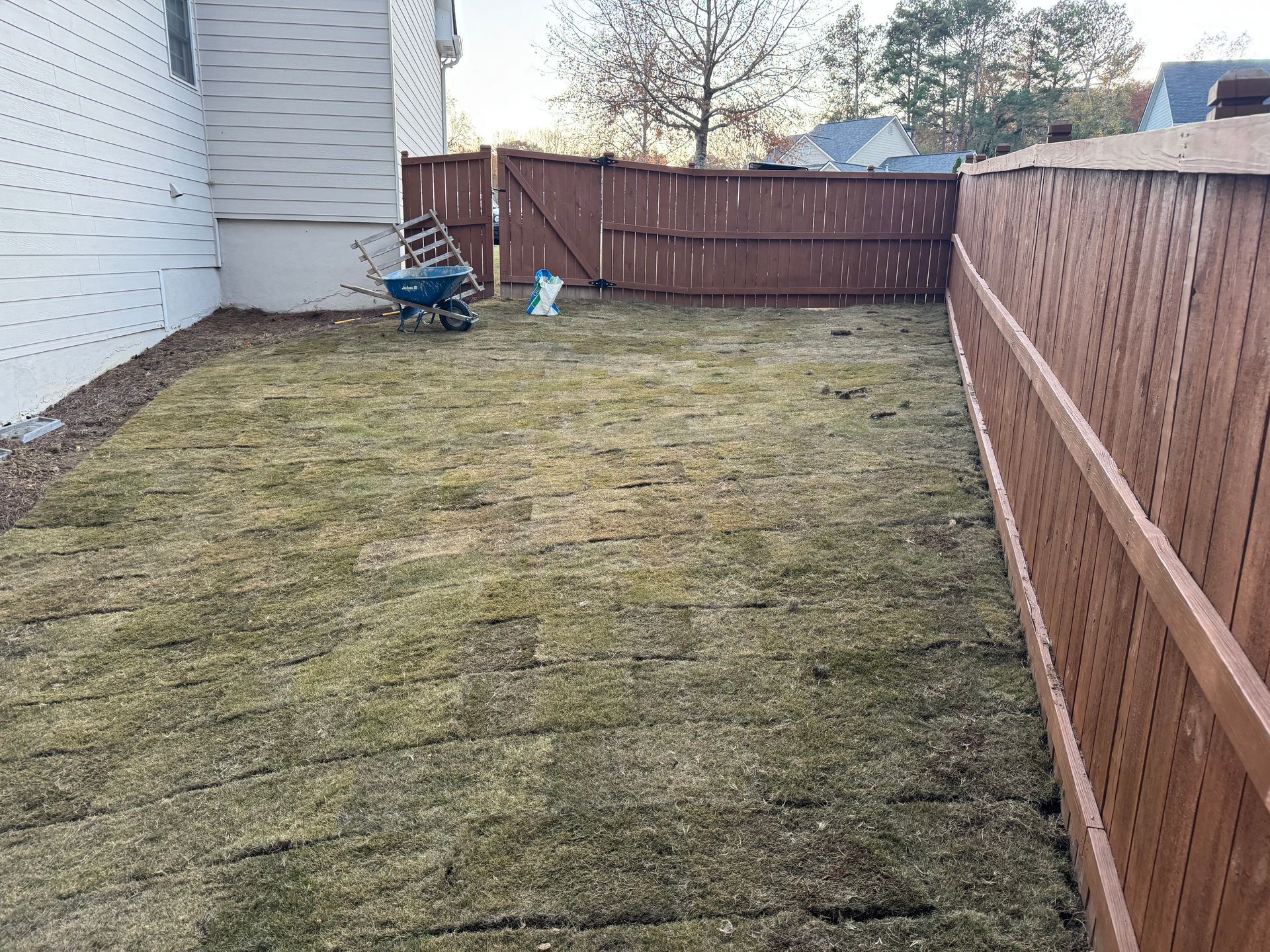 A backyard with a brown wooden fence and patches of dry grass. A wheelbarrow sits near the house.