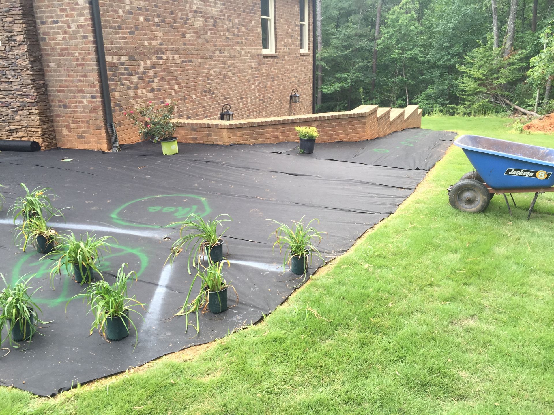 Laying black landscaping fabric for a backyard garden bed. Potted plants are staged with a wheelbarrow nearby.