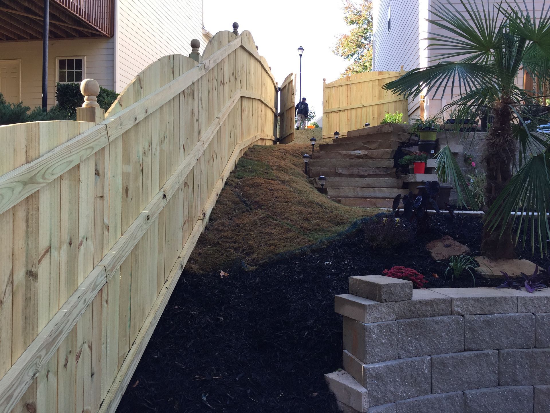 Wooden fence on a slope with steps leading upwards, landscaping, and a palm tree.