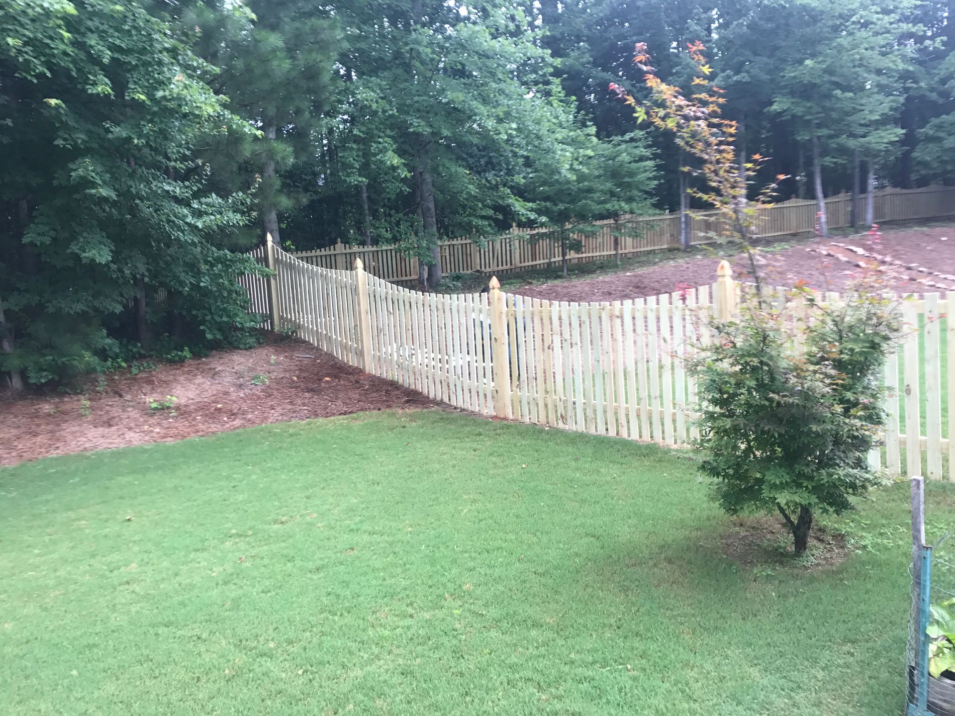 Wooden picket fence curves through a yard, backed by trees and a brown hillside.