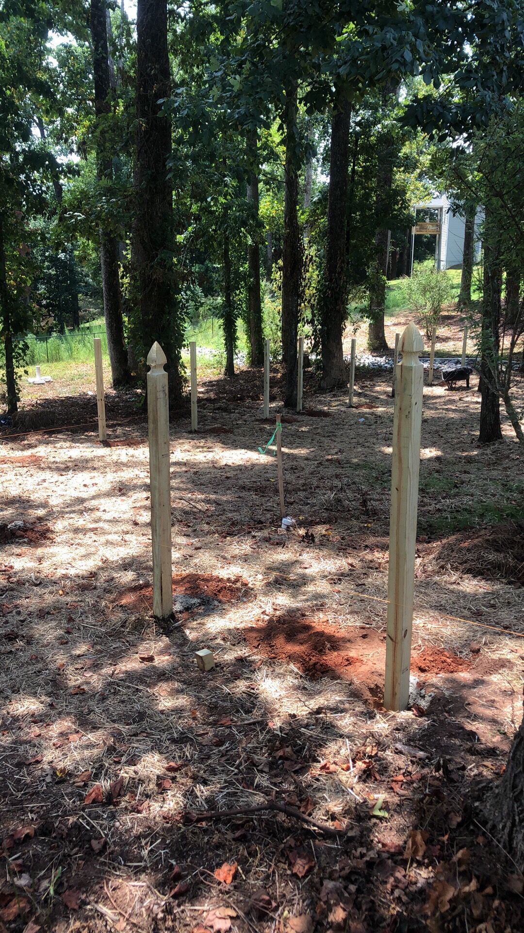 Wooden posts installed in an area of cleared soil, with trees in the background.