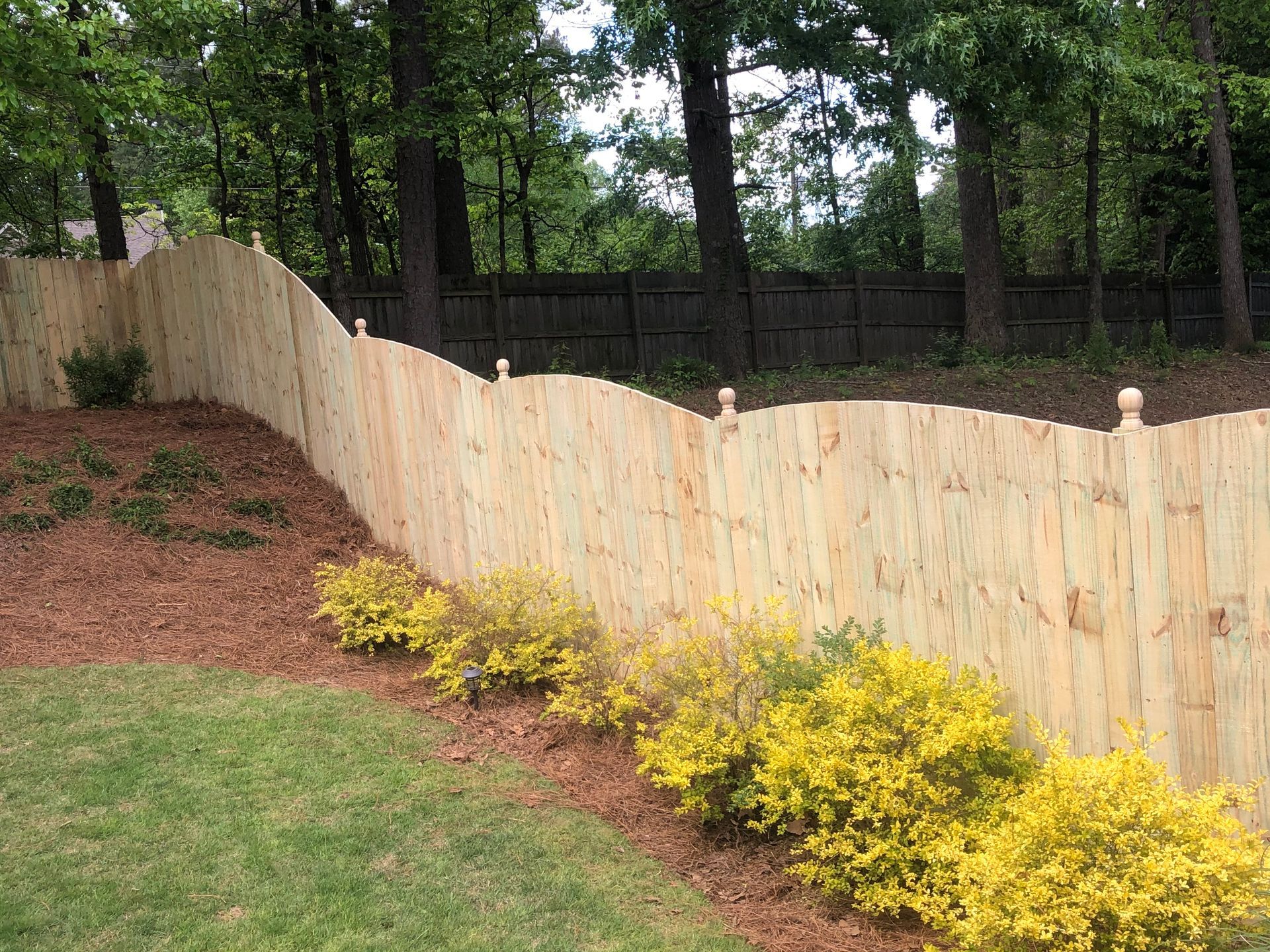 Wooden fence with curved top and decorative finials, bordering a yard with mulch, bushes, and trees.