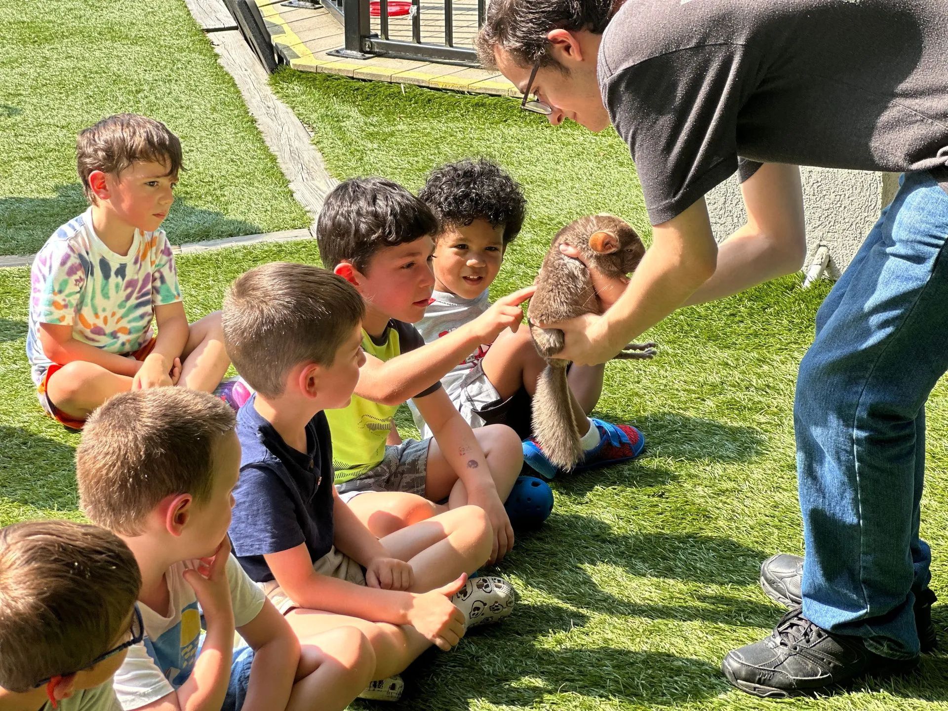 A group of children watch a man holding a fluffy brown owl on a grassy field.