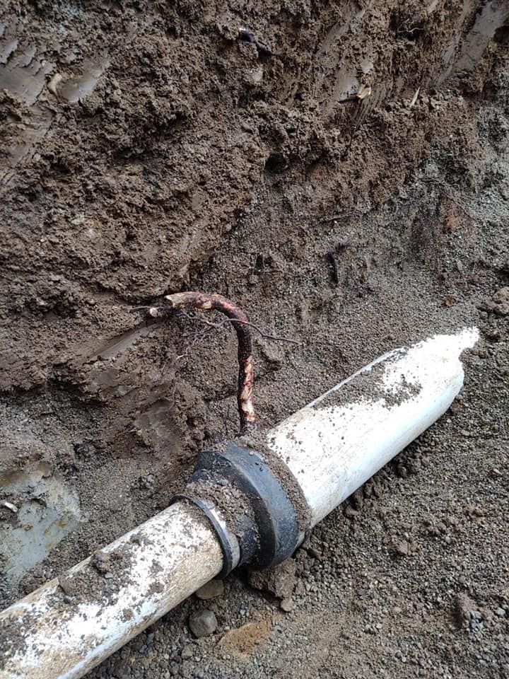 White pipe connection in brown dirt with exposed copper wire.