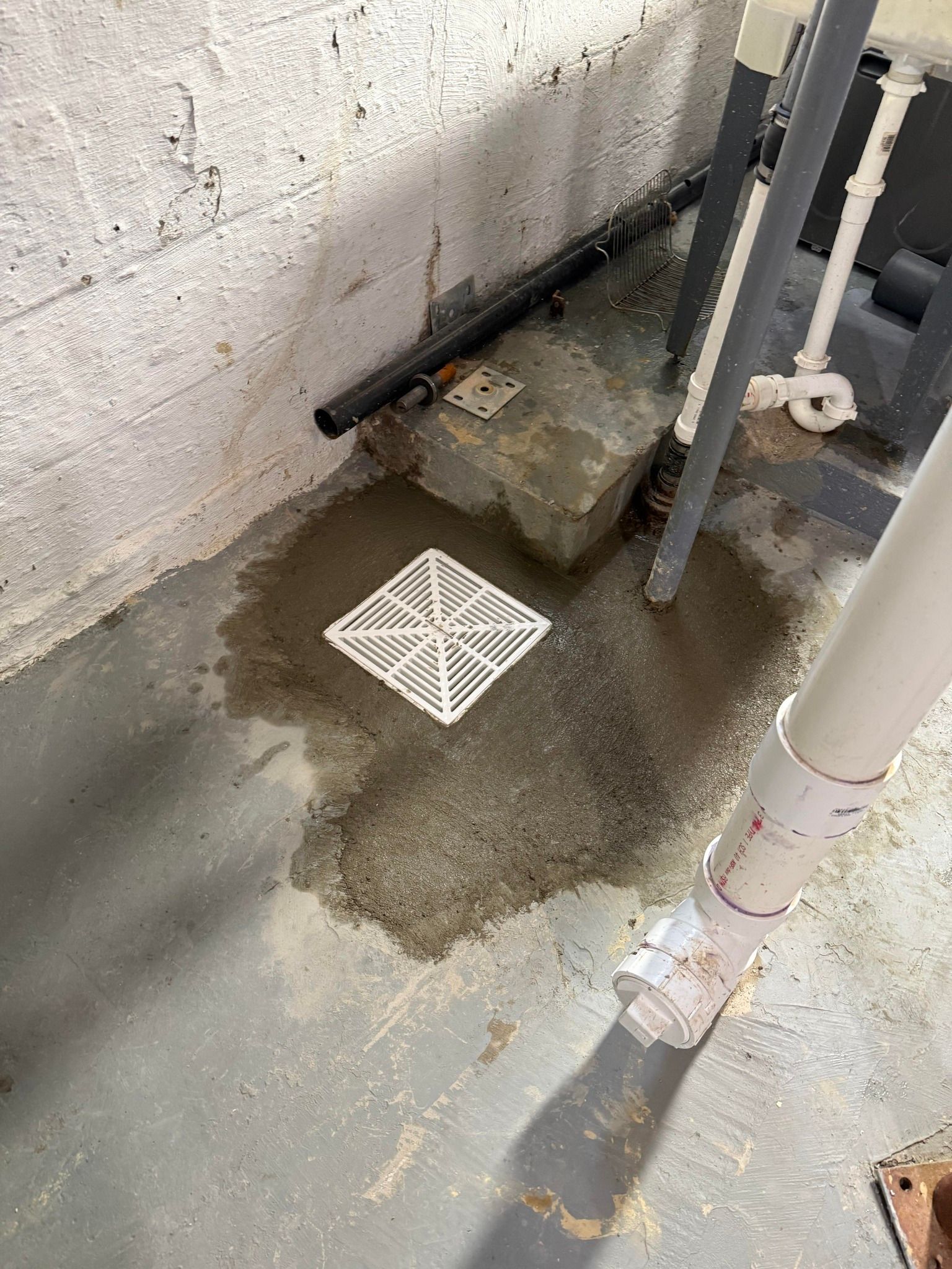 Basement floor with water pooling around a drain; white wall, concrete blocks, pipes.