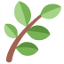 Green leafy branch with brown stem on a white background