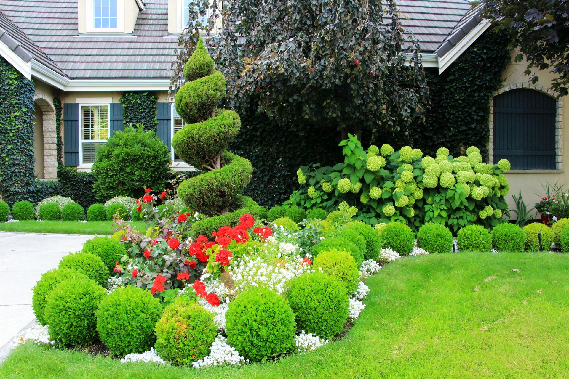 Lush garden bed with a spiral topiary, surrounded by rounded green bushes and colorful flowers, in front of a house.