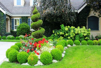 Local Plant Nursery San Diego, CA | Kniffing's Nursery