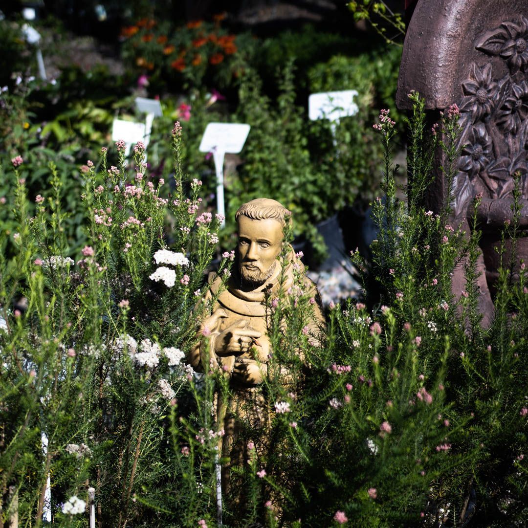 Statue of a man surrounded by plants in a garden, with signs in background.