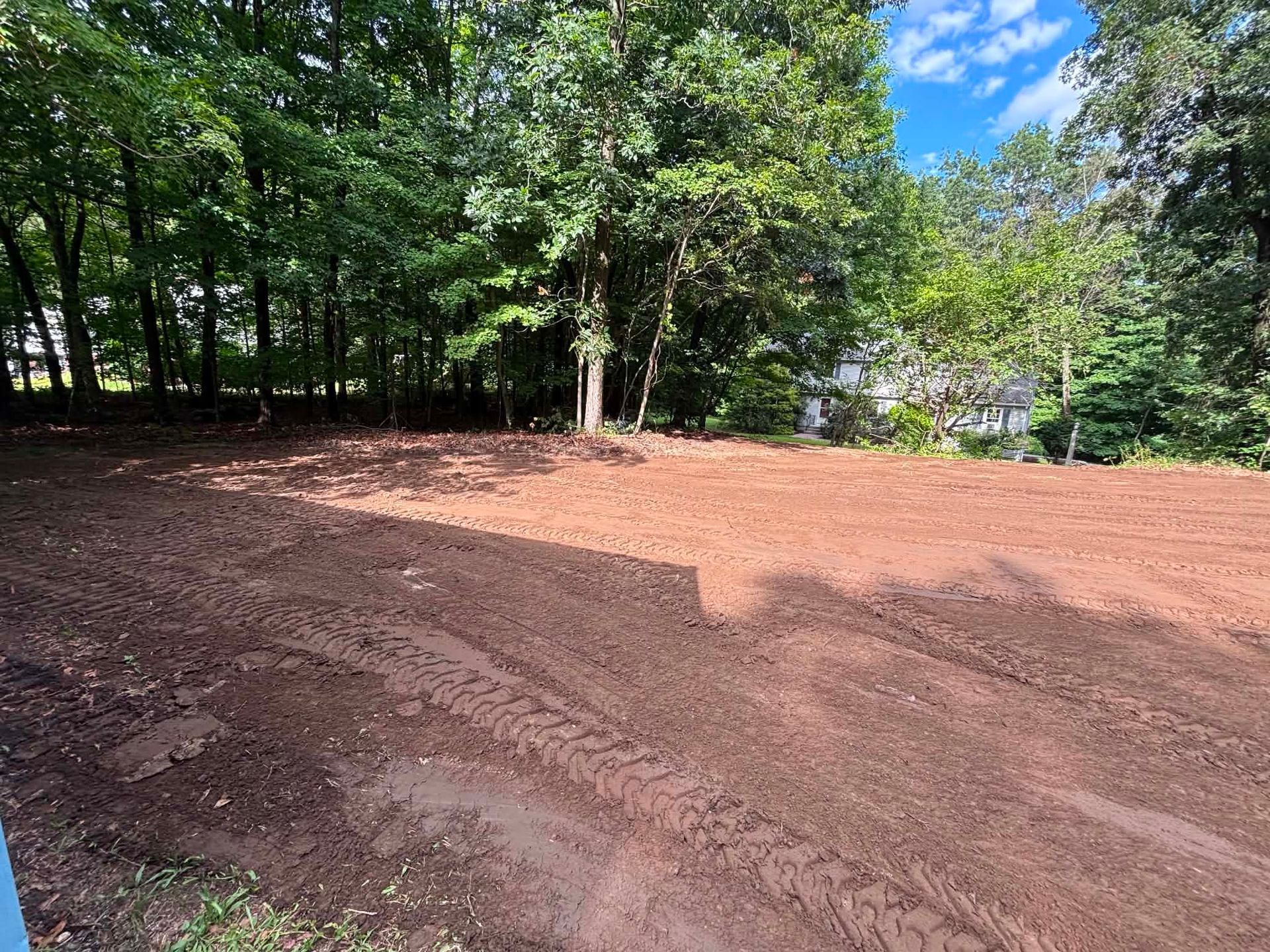 Freshly graded dirt clearing beside a wooded area under a blue sky