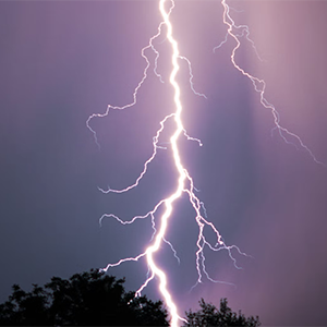 Lightning bolt strikes across a dark, purple-tinged sky. Silhouetted tree branches in the foreground.