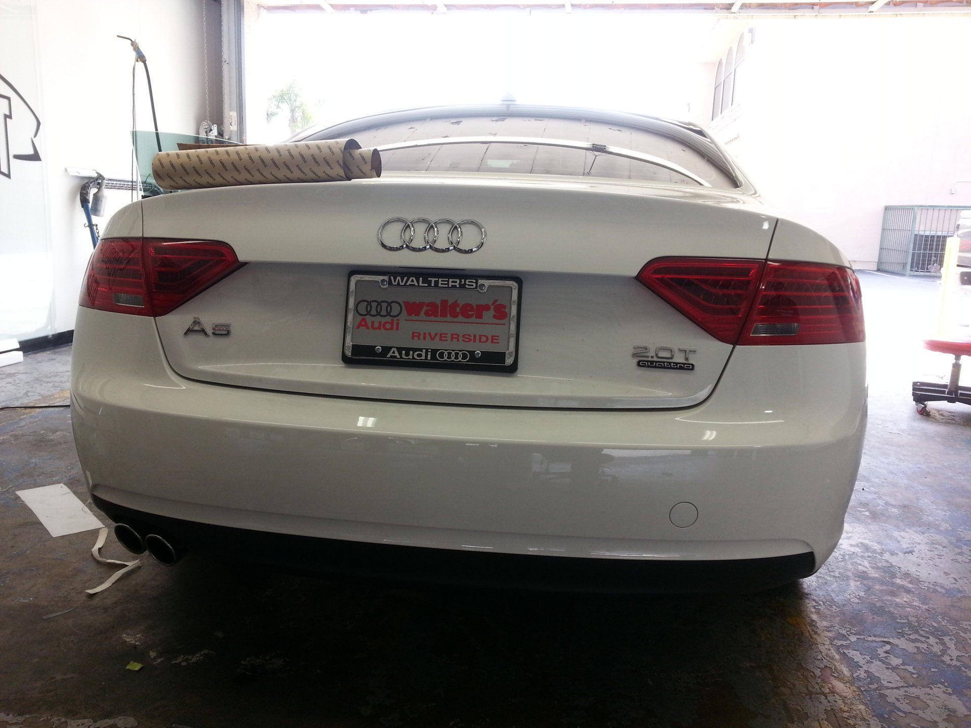 Before tail light tint