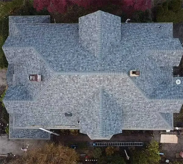 Overhead view of house with gray shingle roof, chimney, and trees.