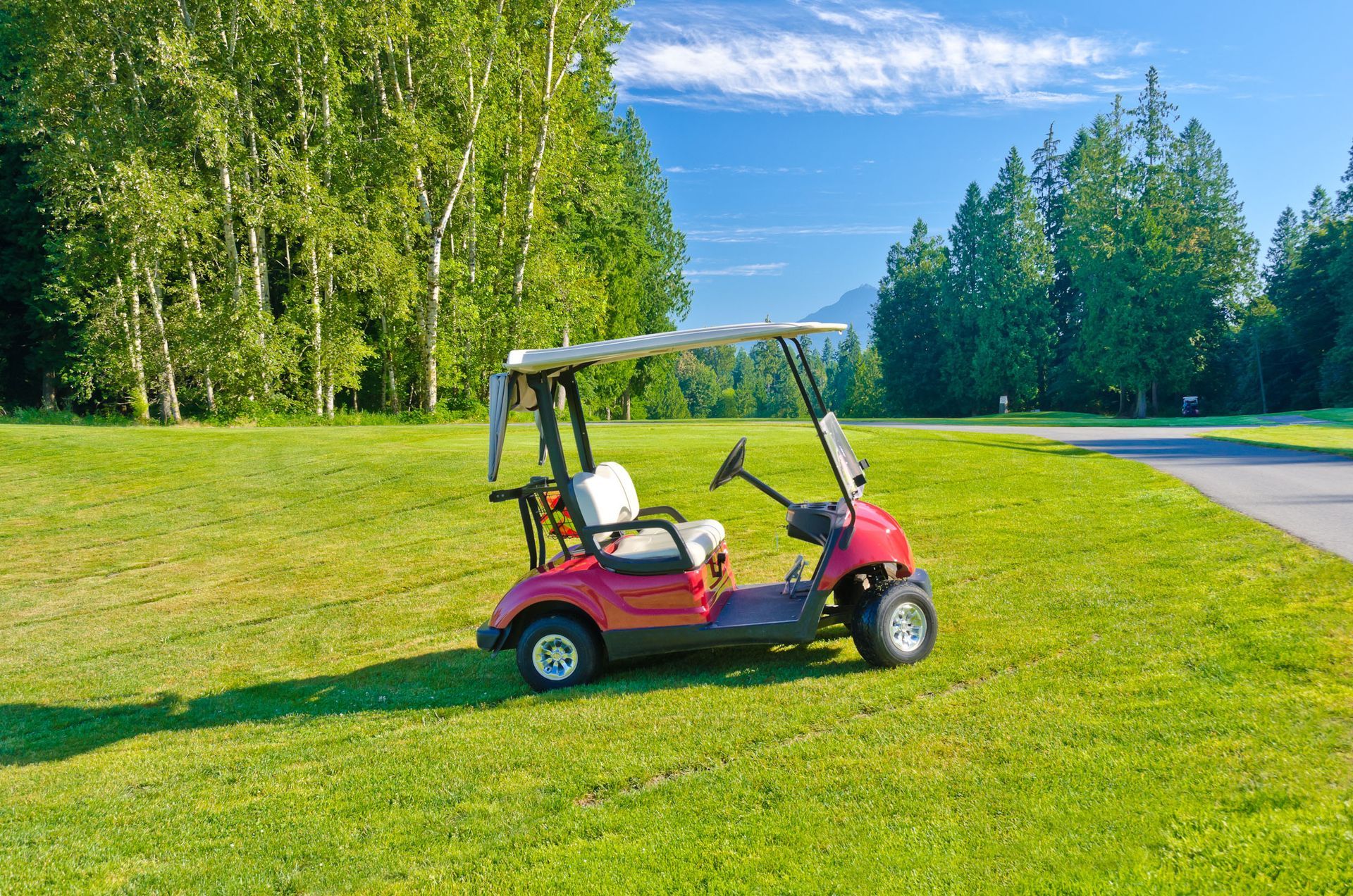 golf cart seller