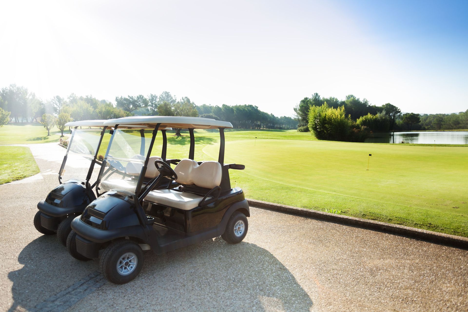 golf cart service