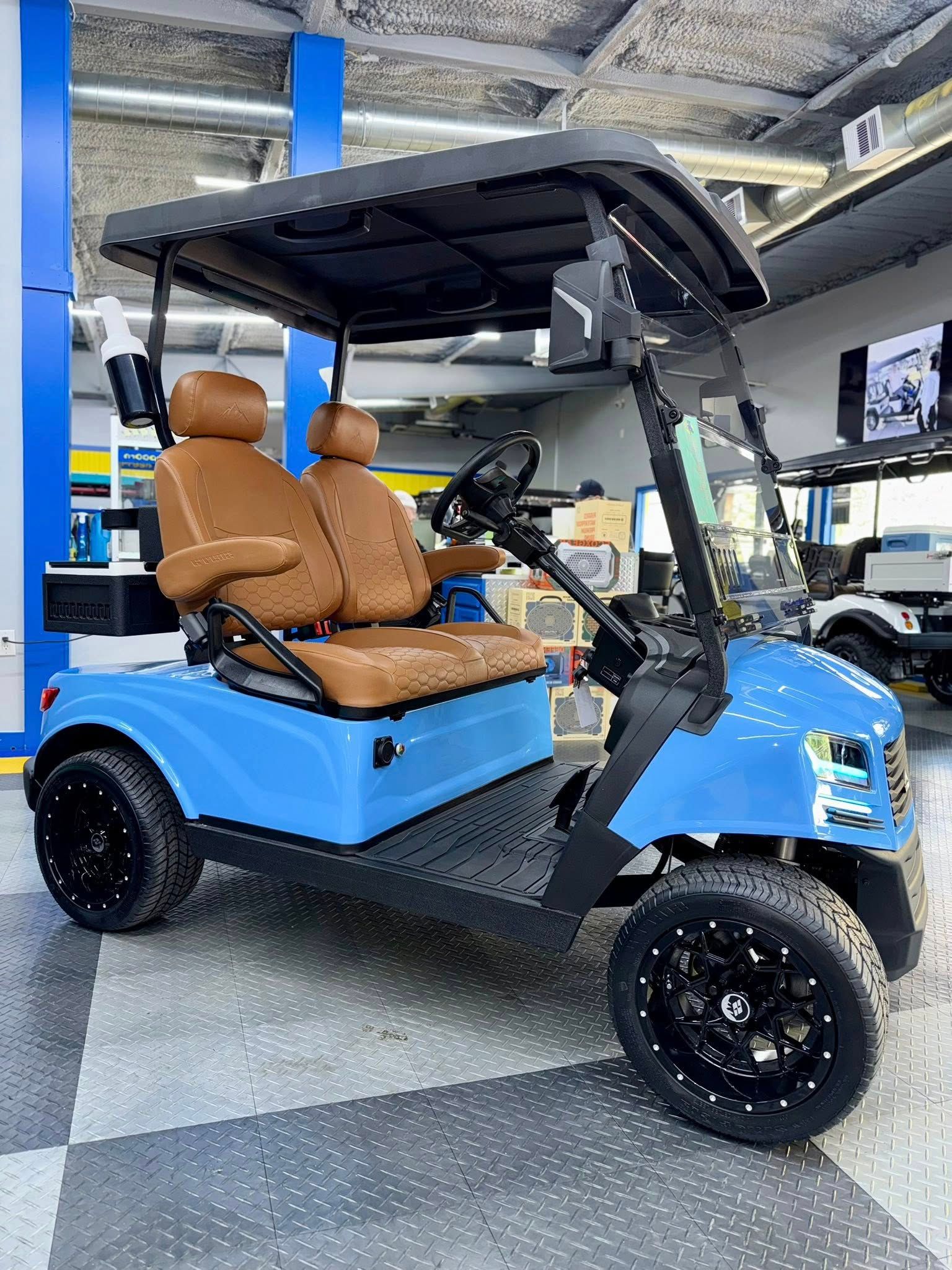 Light blue golf cart with black roof, seats, and wheels. Brown seats inside.