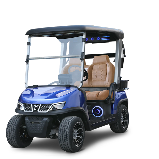 A black golf cart with a canopy on a white background.