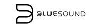 Bluesound logo with a stylized