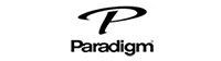 Paradigm logo with stylized