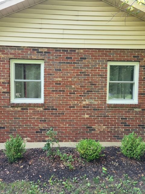 A brick house with two windows and bushes in front of it