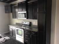 A kitchen with black cabinets , stainless steel appliances , and granite counter tops.