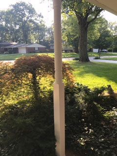 A porch with a tree and a house in the background.