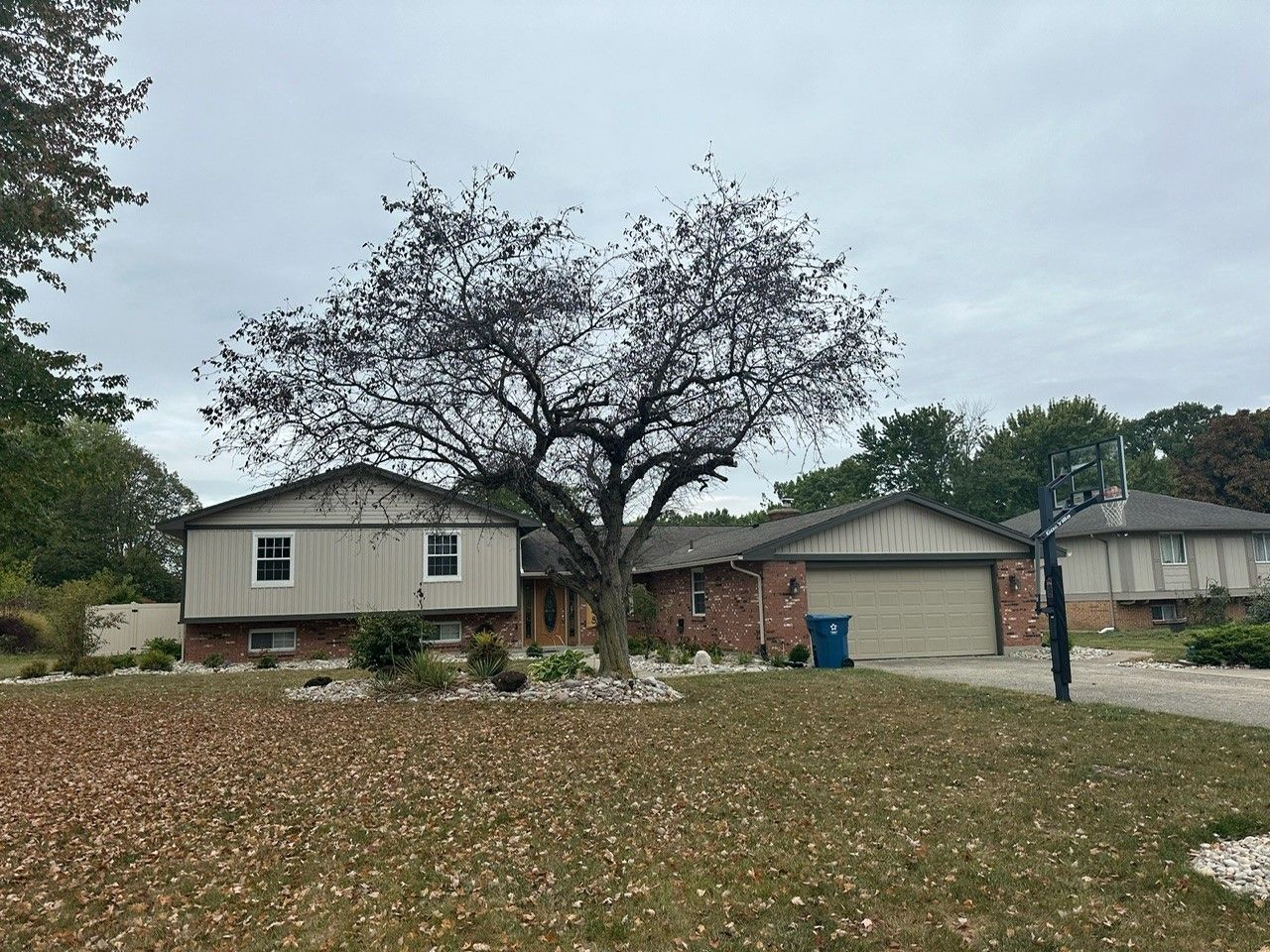 A house with a garage and a tree in front of it.