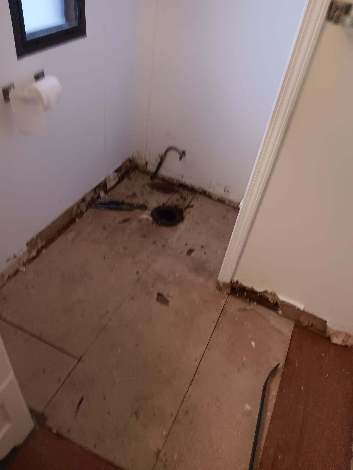 A bathroom with a hole in the floor and a toilet.
