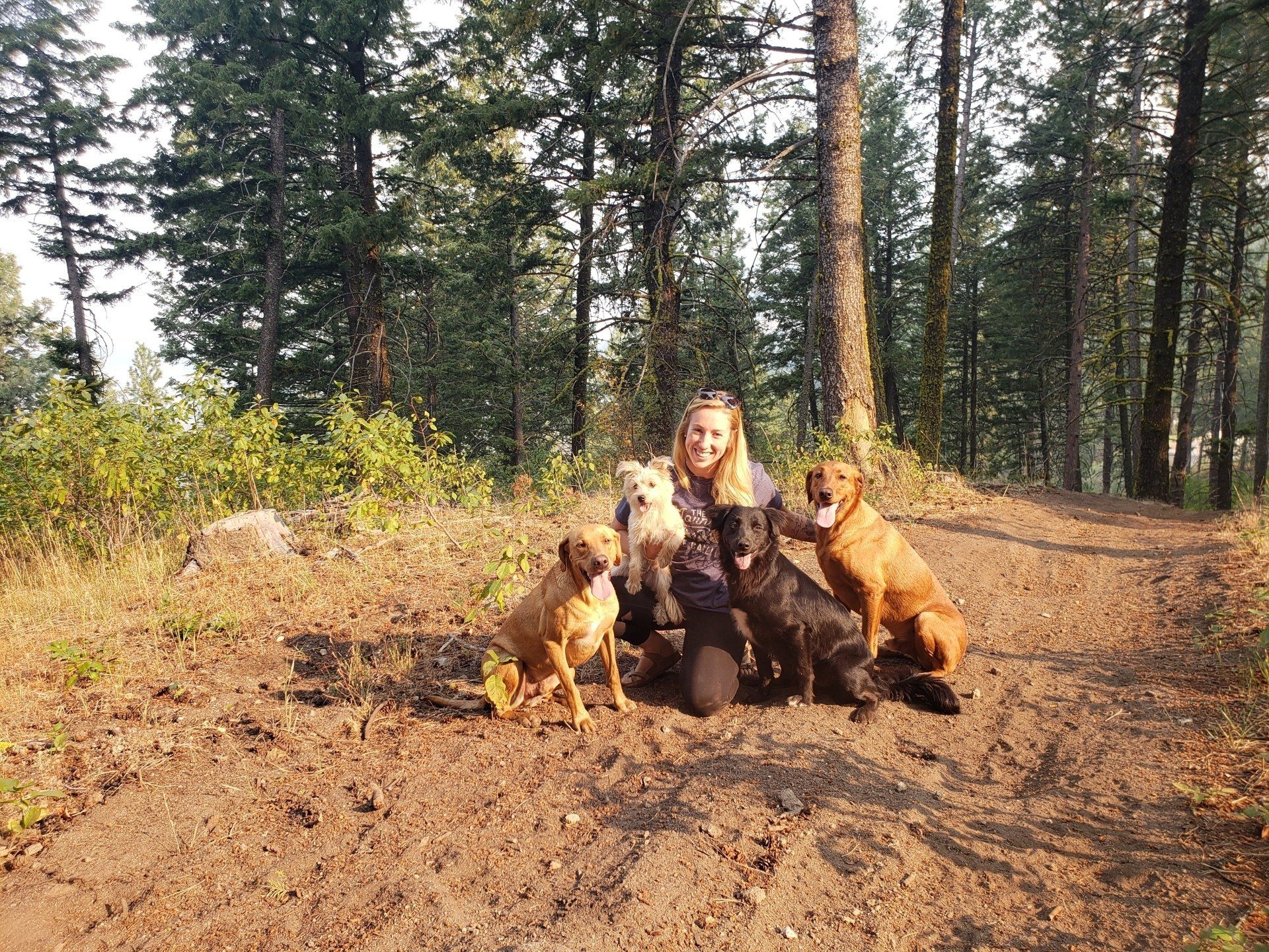 About Idaho Dog Park Boise, ID Pet Grooming