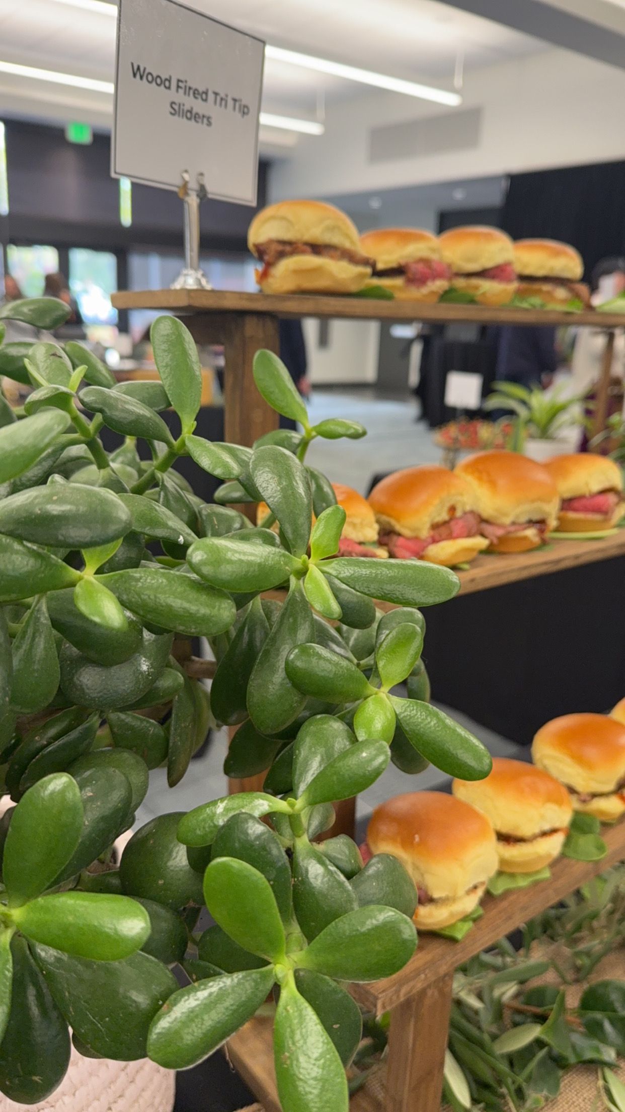 A bunch of sandwiches are sitting on a table next to a plant.
