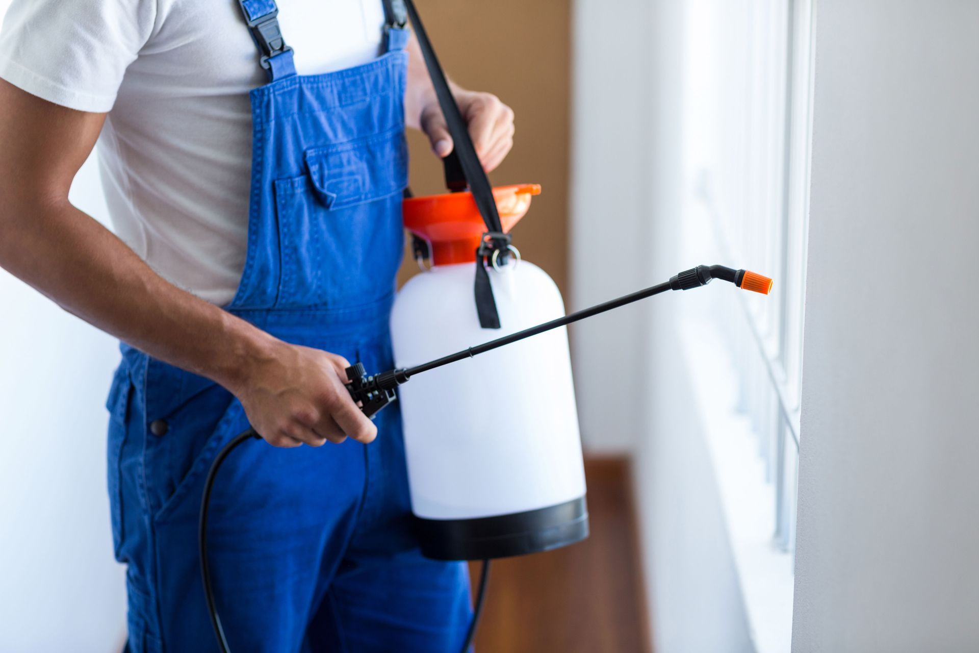 local pest control company