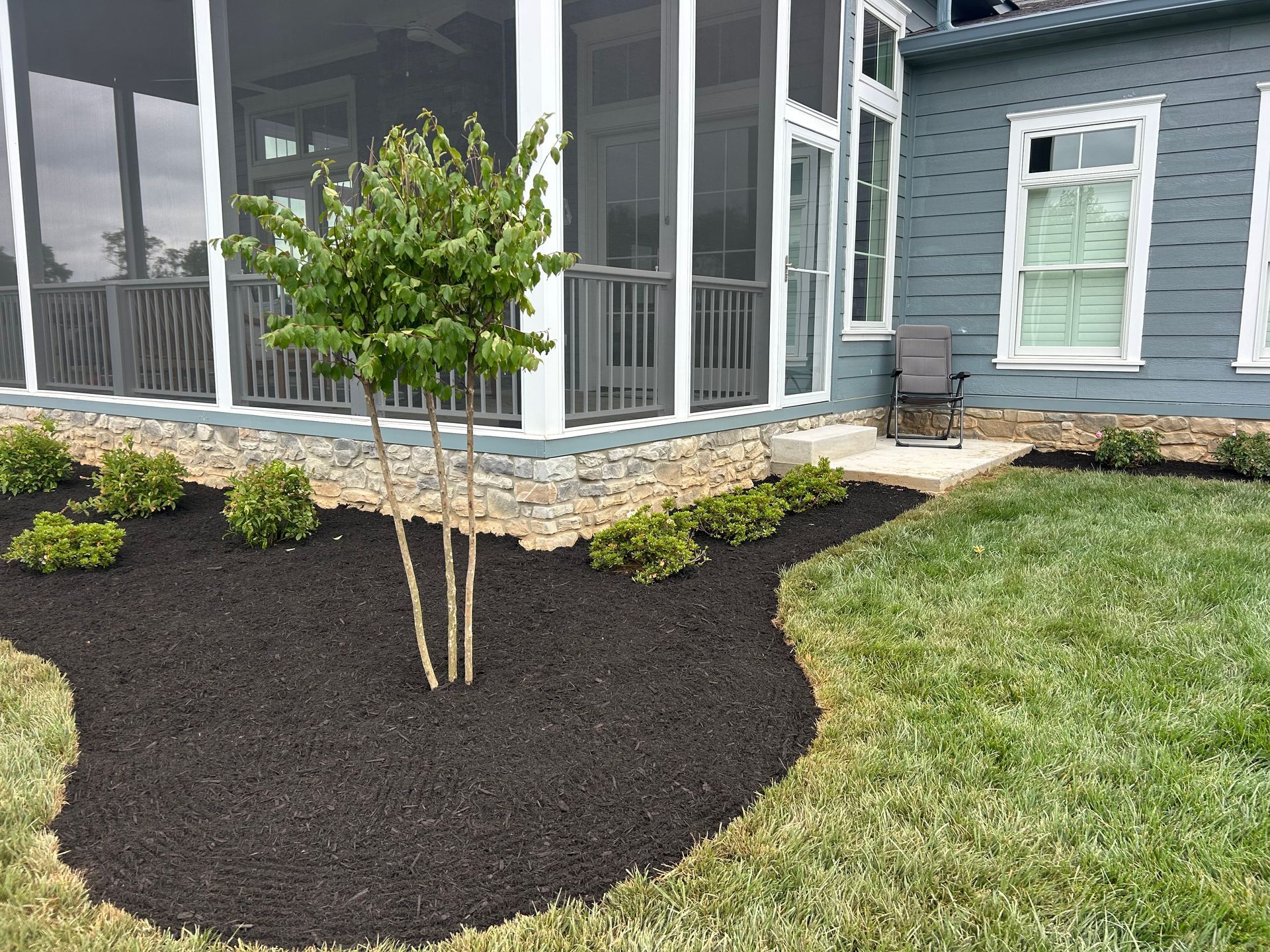 A small tree stands in a mulched bed with small shrubs, beside a blue house with a screened porch and stone foundation.