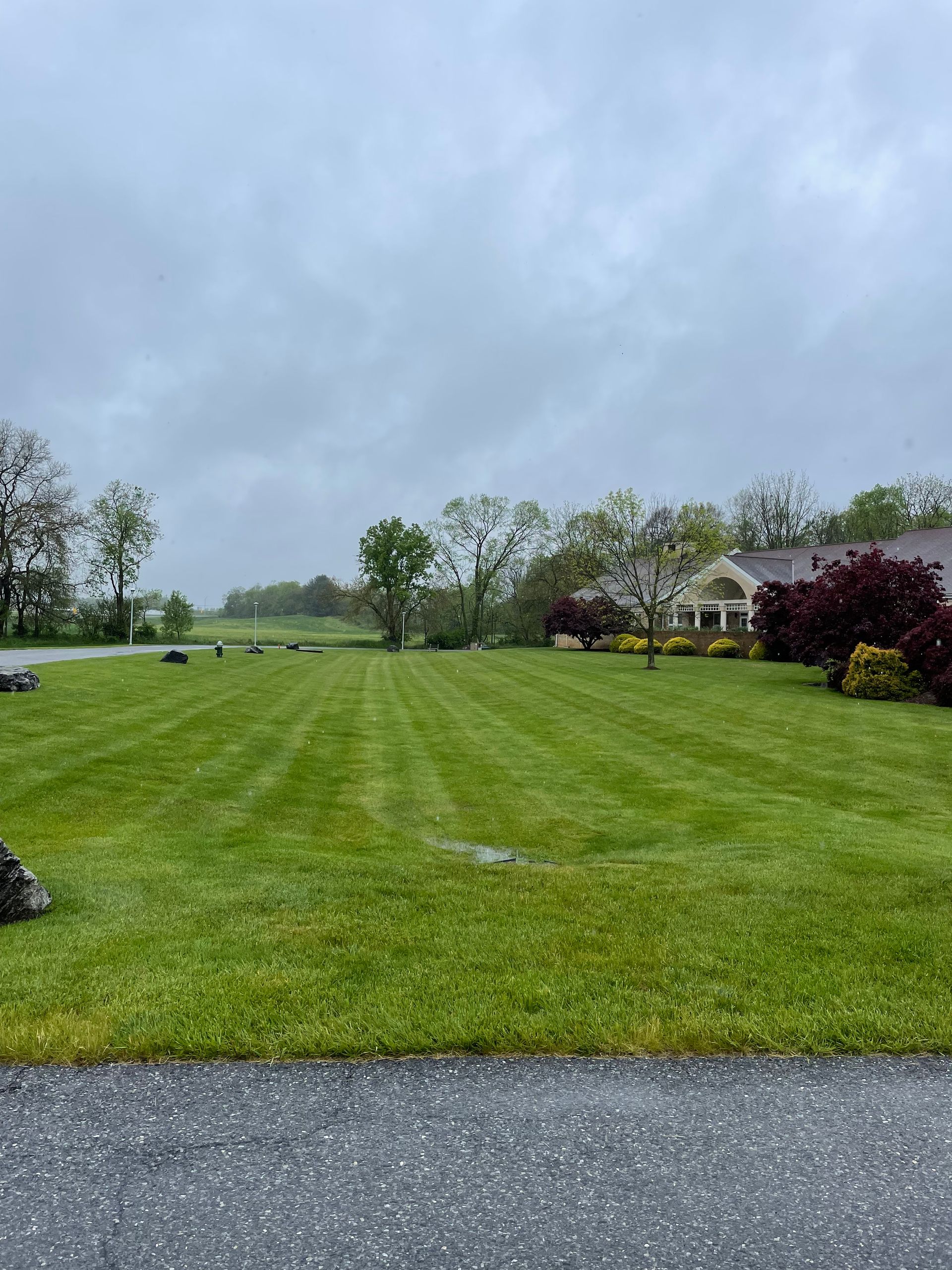 A mown grassy lawn stretches toward trees and a building under a cloudy, overcast sky.