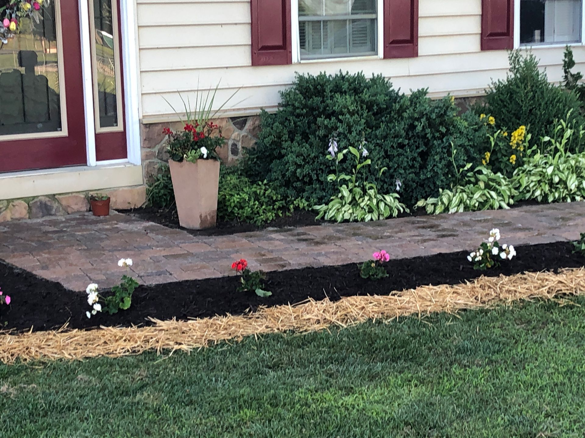 A paver walkway leading to a front door with a beige house, red shutters, a planter, and flowers planted in black mulch.