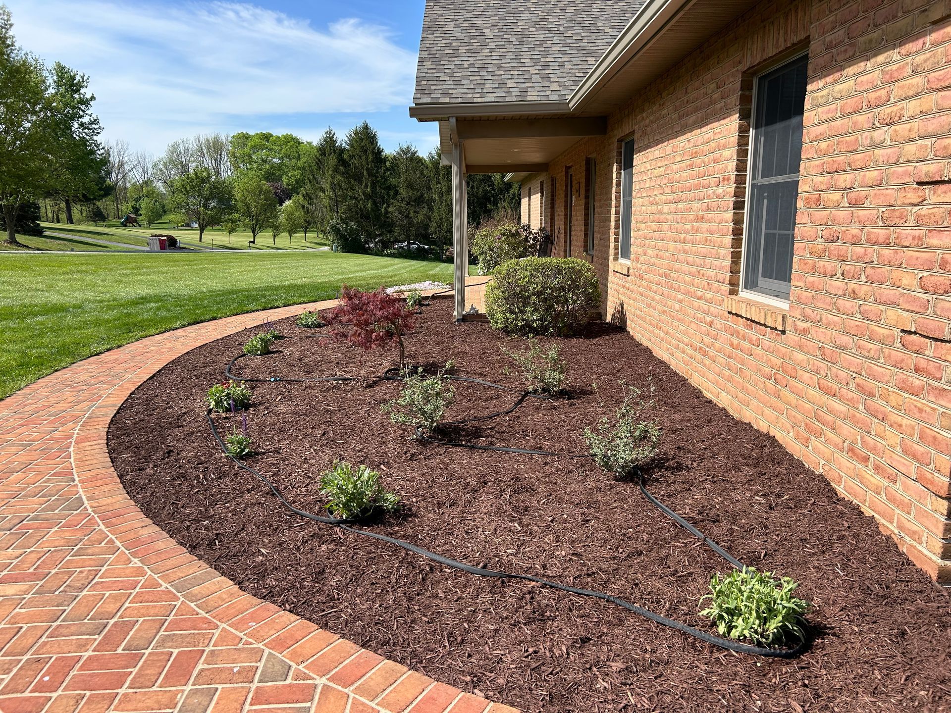A brick house with a curved brick pathway bordered by a mulched garden bed containing small shrubs and green plants.