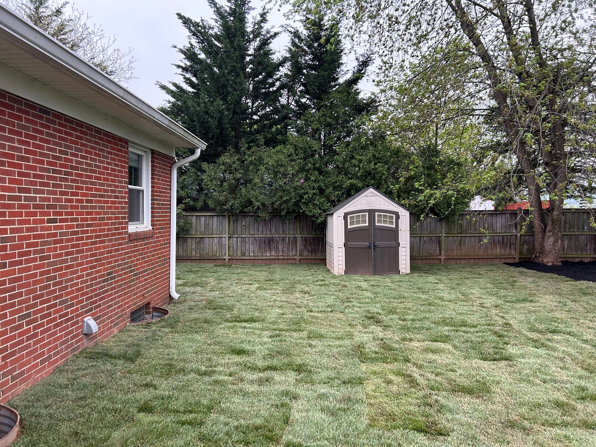 A residential backyard featuring a brick house wall, newly laid grass, a small beige shed, and a wood fence in the back.