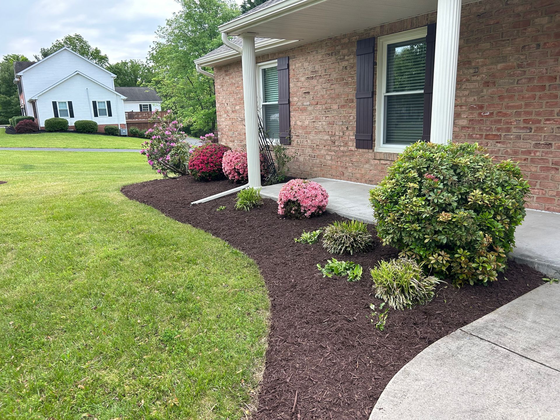 A brick house features a mulch garden bed with small bushes, pink azaleas, and a concrete path in a grassy front yard.