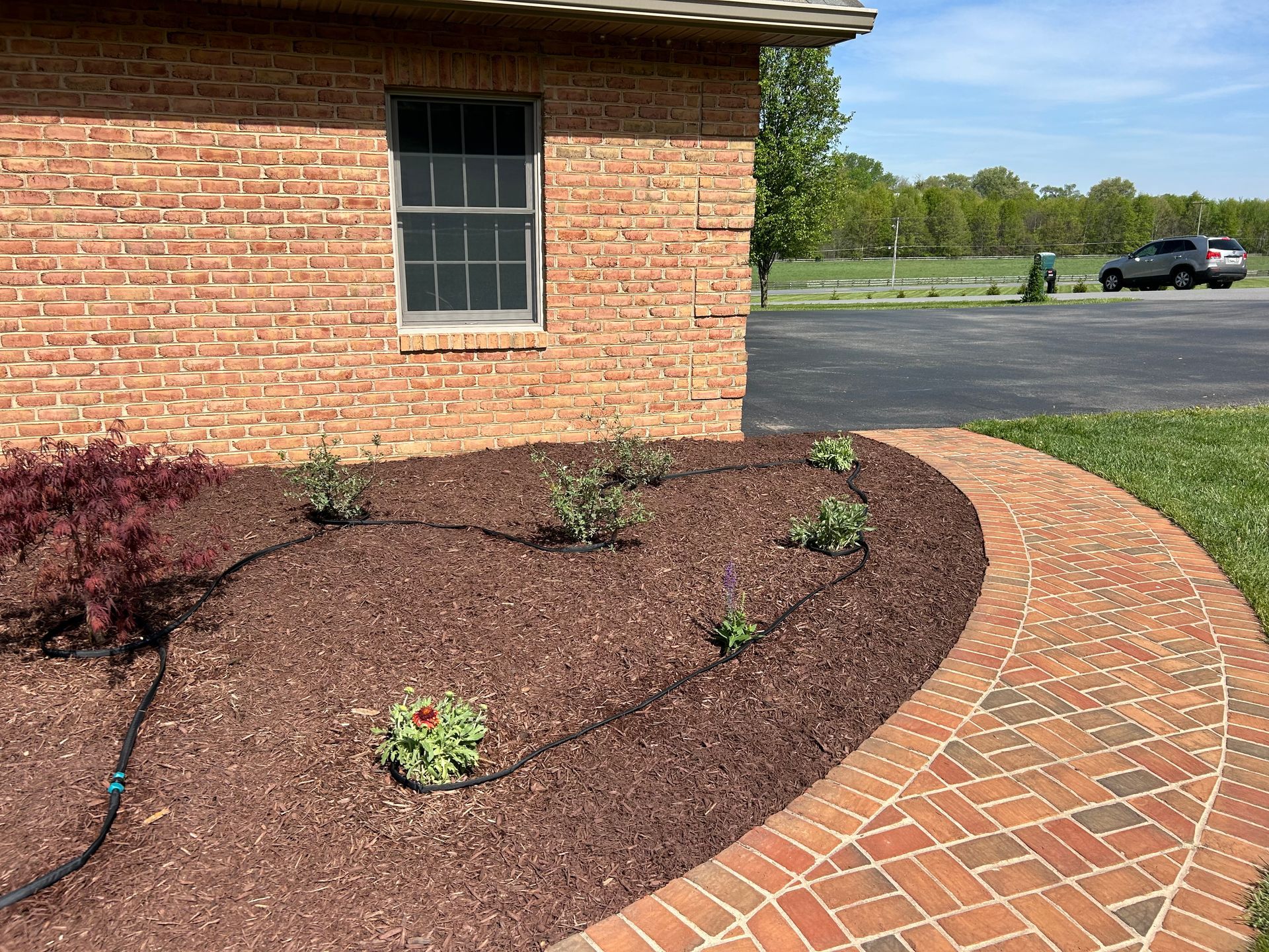 A brick building corner with a red brick walkway curving around a mulched garden bed containing small plants and a hose.