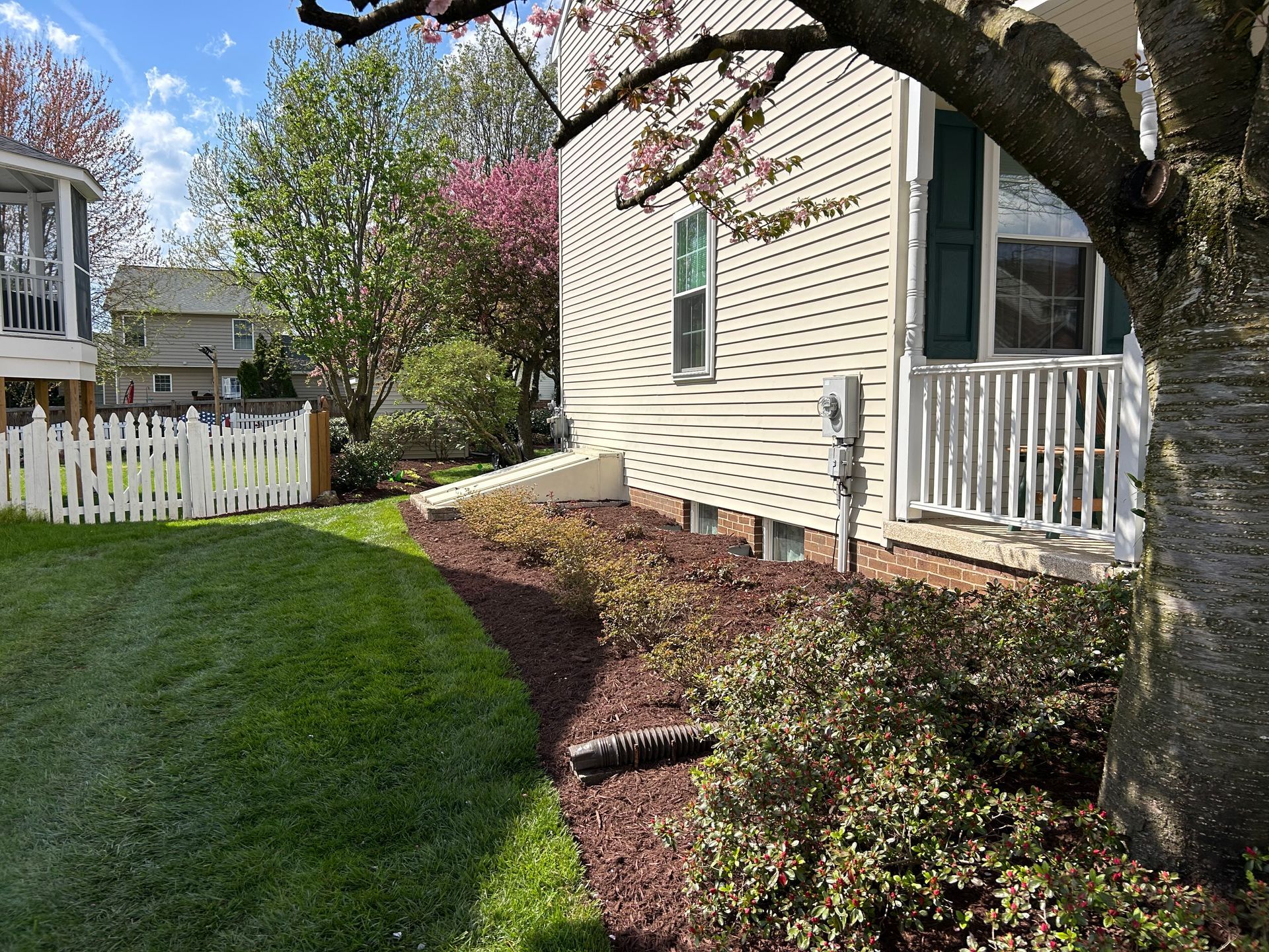 A side view of a cream-colored house with a white picket fence, a garden bed with mulch, and a large tree in the foreground.