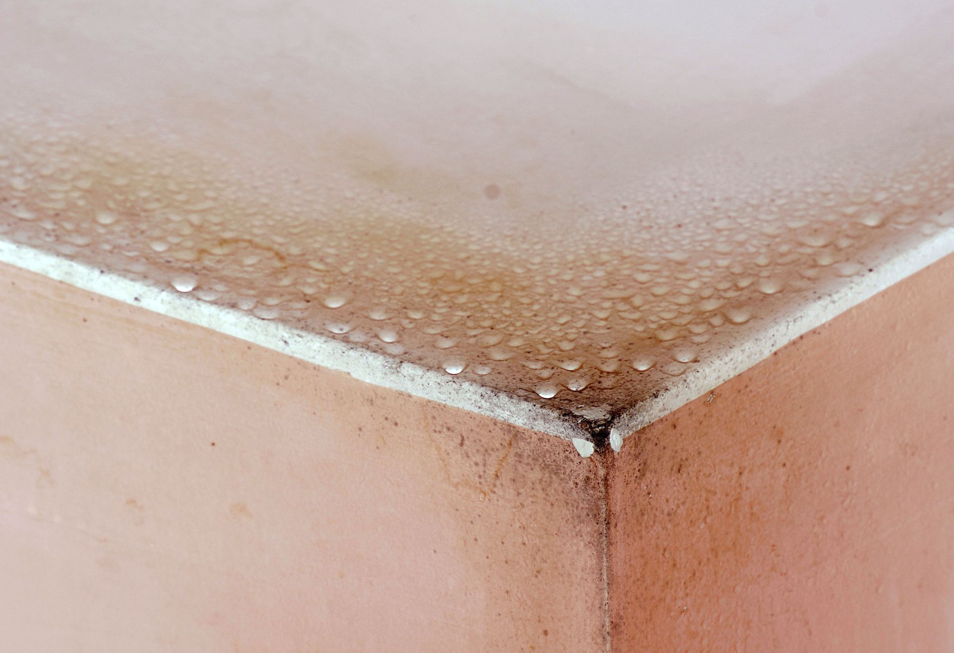 water damage remediation
