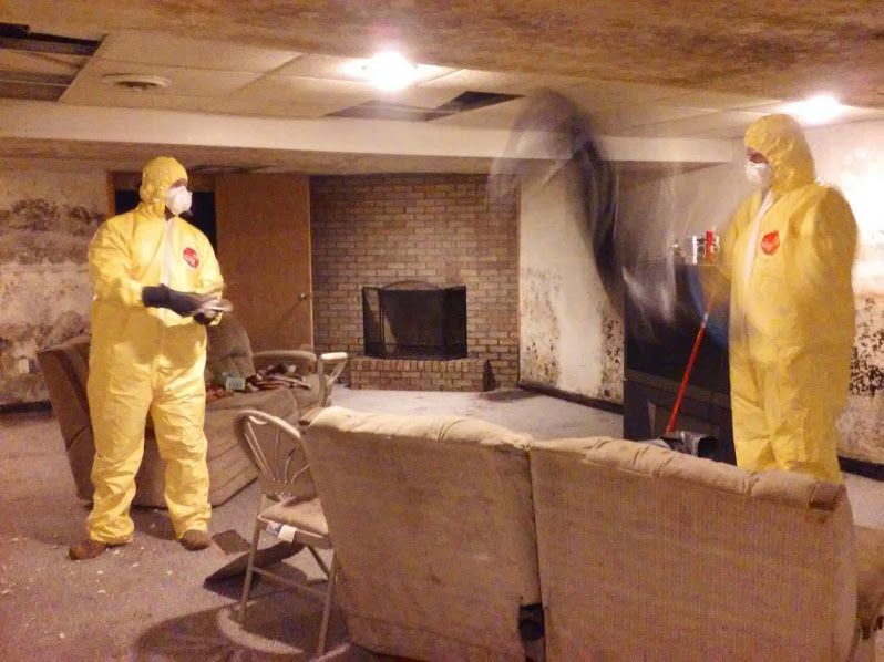 Two people in yellow hazmat suits cleaning mold in a basement.
