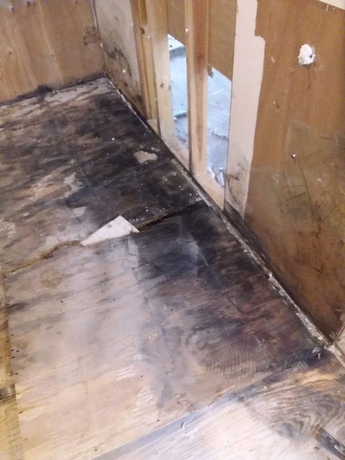 Interior of a wood-paneled room with dark discoloration and potential mold growth on the floor and walls.