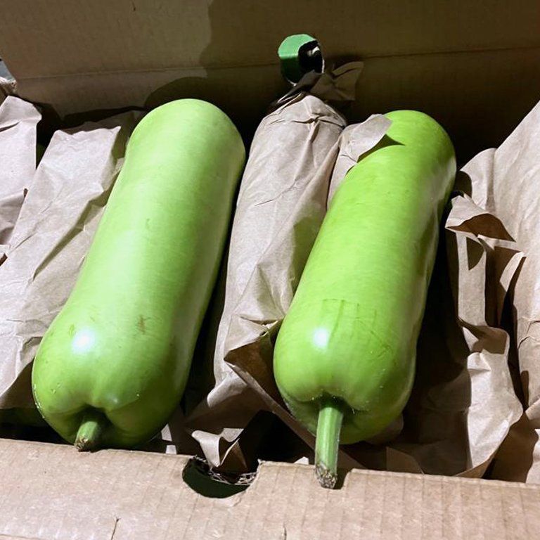 Learn More About Vegetables bottle gourd
