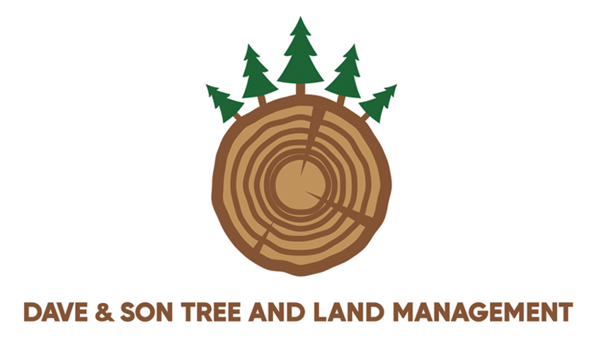 Dave & Son Tree and Land Management, LLC Logo