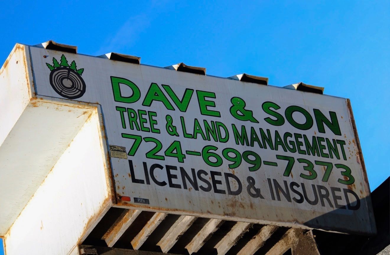 Green and black business sign on a white building