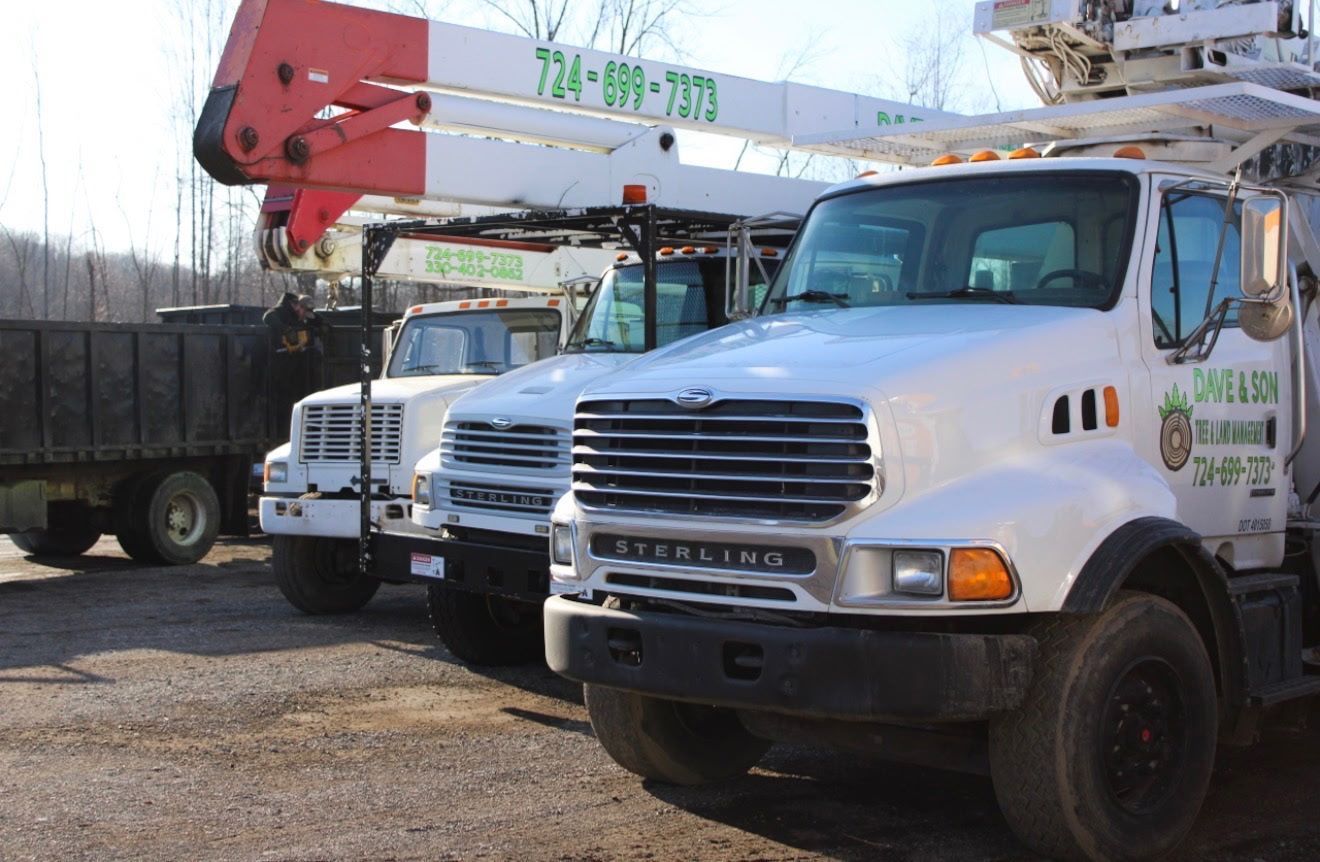 Utility trucks parked in a yard, including a white bucket truck with a red boom arm